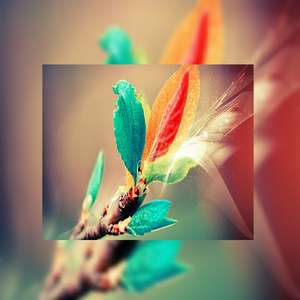 美女露胸秘网站
